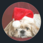 Adesivo Redondo Sleepy Christmas Shih Tzu<br><div class="desc">Shih Tzu vestindo seu chapéu de Papai Noel fica sonolento esperando que Papai Noel chegue com o adesivo de fotos</div>