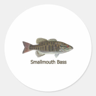 Adesivo Redondo Smallmouth Bass Art (com título)