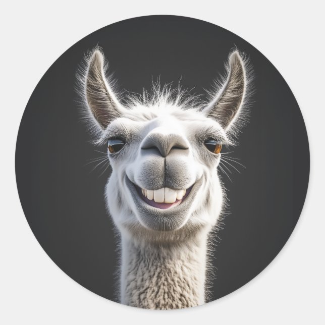 Adesivo Redondo Smiling Llama Close-up (Frente)