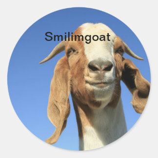 Adesivo Redondo Smilingoat