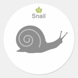 Adesivo Redondo Snail g5