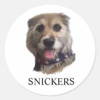 ADESIVO REDONDO SNICKERS STICKER