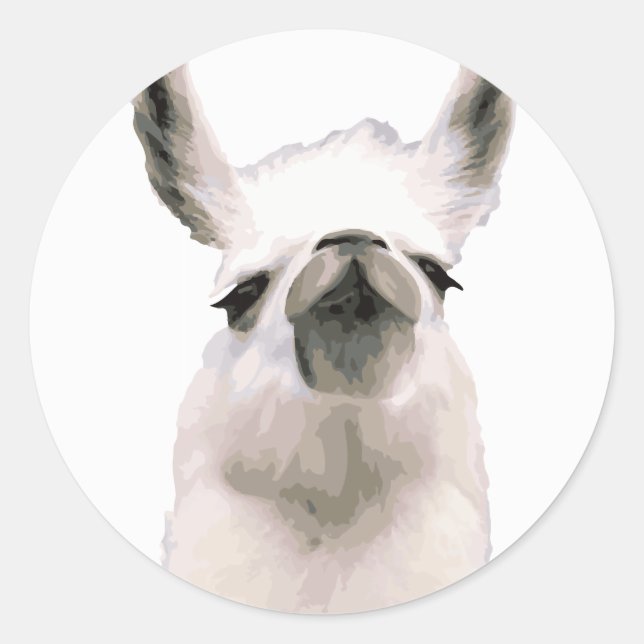 Adesivo Redondo Snooty Snobby Llama personalizado (Frente)
