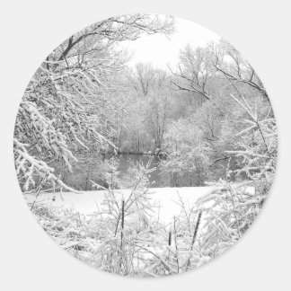 Adesivo Redondo Snow Storm