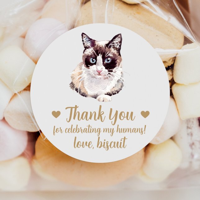 Adesivo Redondo Snowshoe Cat Wedding Favor Stickers (Criador carregado)