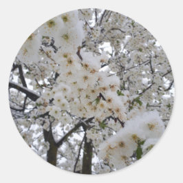 Adesivo Redondo Snowy Blossom Sticker