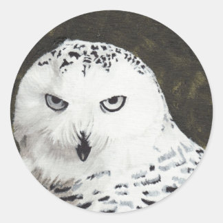 Adesivo Redondo Snowy Owl