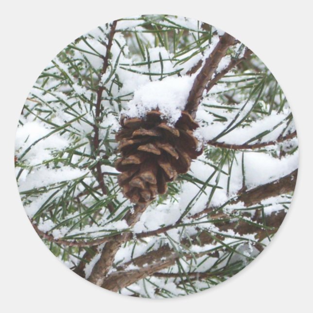 Adesivo Redondo Snowy Pine Cone II Fotografia de inverno (Frente)