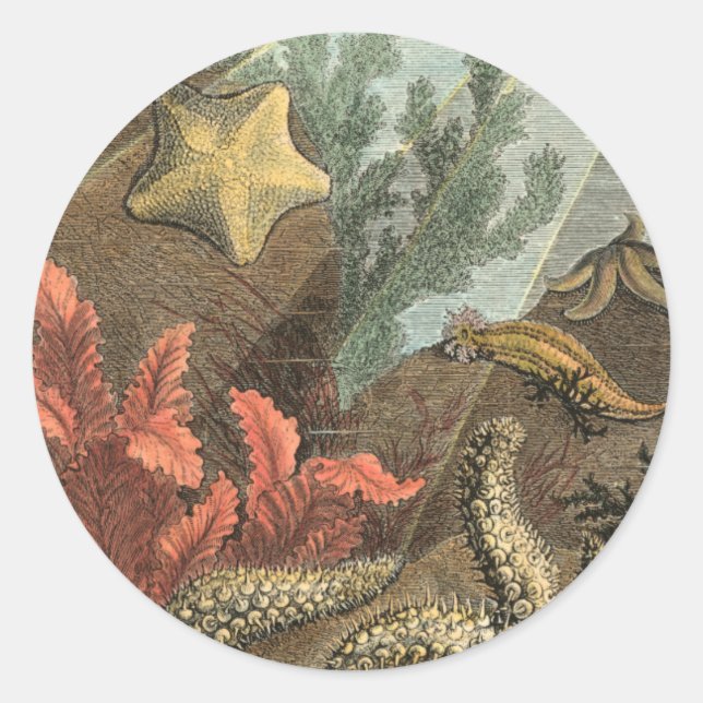 Adesivo Redondo Sob o mar (Frente)