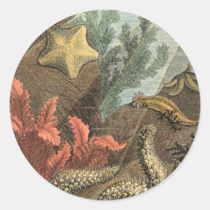 Adesivo Redondo Sob o mar