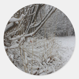 Adesivo Redondo Sob uma cobertura da neve