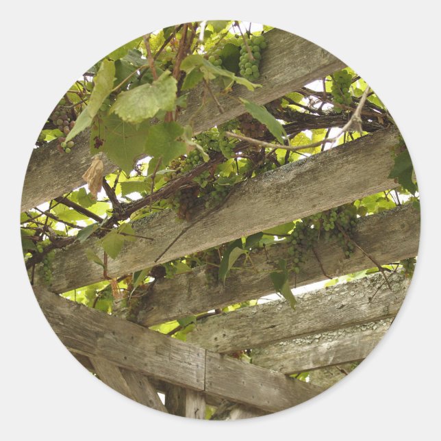 Adesivo Redondo Sob uma copia de Uvas (Frente)