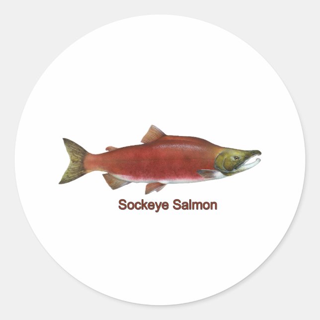Adesivo Redondo Sockeye - Red Salmon (sob título) (Frente)