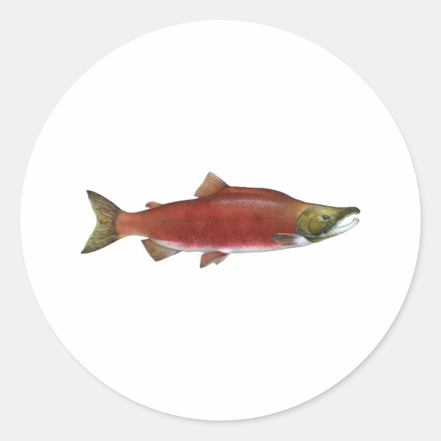 Adesivo Redondo Sockeye Salmon (Frente)