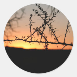 Adesivo Redondo Sol africano com silhueta espinhal de acácia