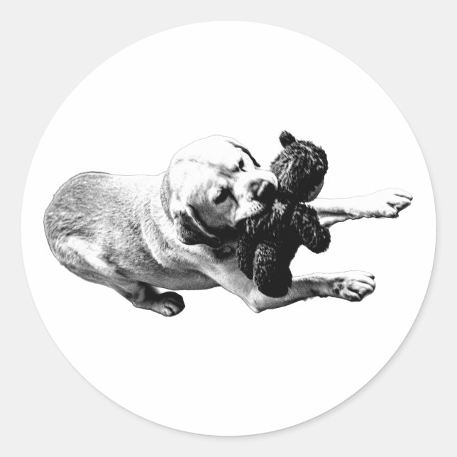 Adesivo Redondo Solicitado (Frente)