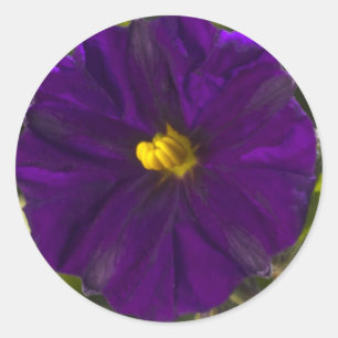 Adesivo Redondo Sombra da meia-noite