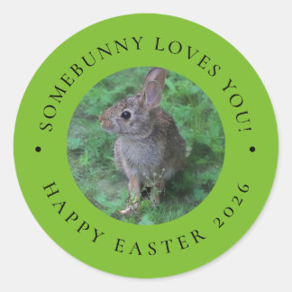 Adesivo Redondo SomeBunny Loves You Valentine's Day Easter Sticker