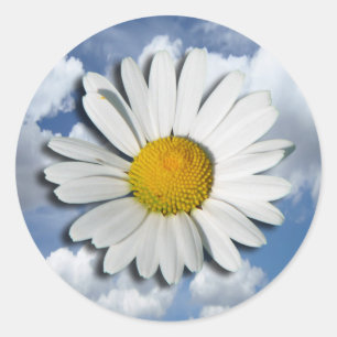 Adesivo Redondo Somente uma flor do Marguerite + seus texto &