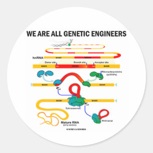 Adesivo Redondo Somos Todos Engenheiros Genéticos (Splicing RNA)