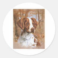 Spaniel de Brittany