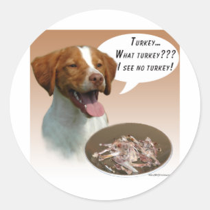 Adesivo Redondo Spaniel de Brittany Turquia