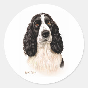 Adesivo Redondo Spaniel de Springer inglês