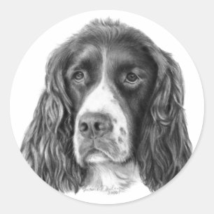 Adesivo Redondo Spaniel de Springer inglês