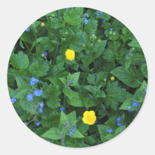 Adesivo Redondo Speedwell e Buttercups