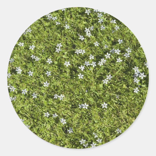 Adesivo Redondo Speedwell Sticker (Frente)