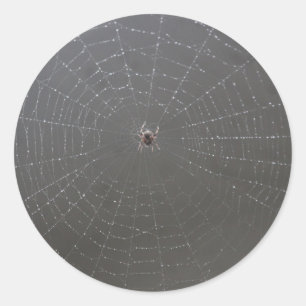 Adesivo Redondo Spider Web Sticker