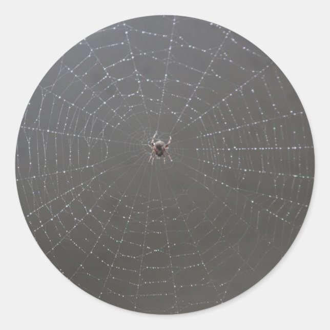 Adesivo Redondo Spider Web Sticker (Frente)