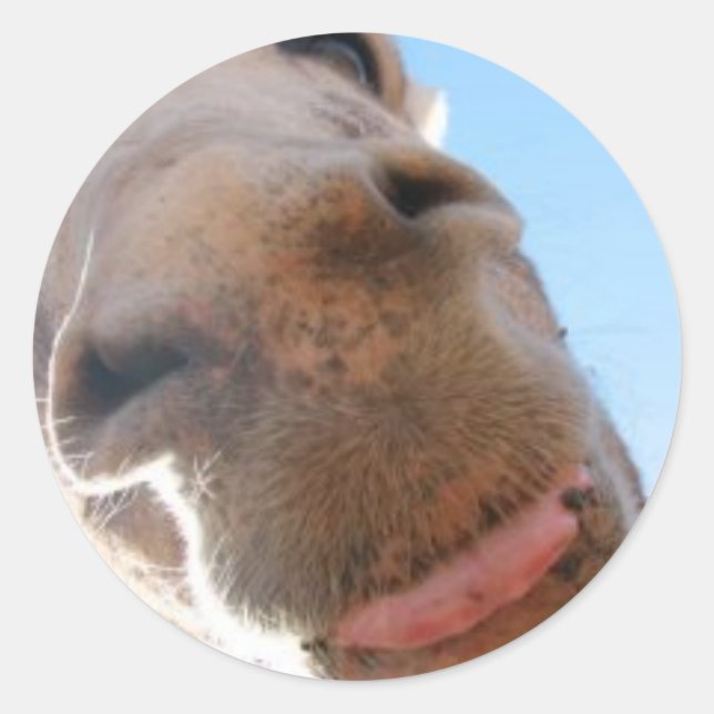 Adesivo redondo - Spike (Frente)