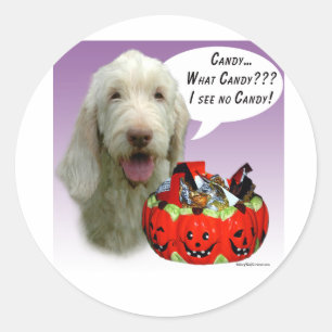 Adesivo Redondo Spinone Italiano Halloween Candy