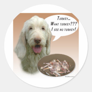 Adesivo Redondo Spinone Italiano Turquia