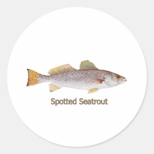 Adesivo Redondo Spotted Seatrout (com título)