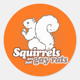 ADESIVO REDONDO SQUIRRELOS SÃO APENAS RATOS GAY