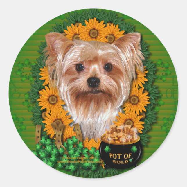 Adesivo Redondo St Patricks - Pote do Dourado - Yorkshire Terrier (Frente)