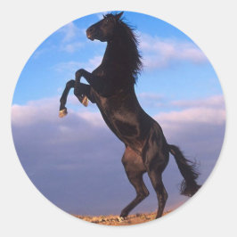 Adesivo Redondo Stallion Negro