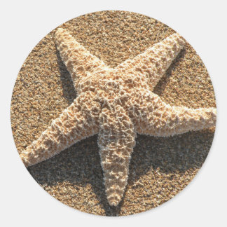 Adesivo Redondo Starfish na praia