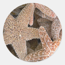 Adesivo Redondo Starfish por todo o mundo
