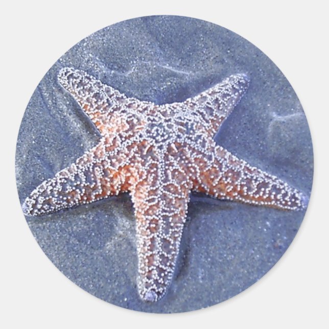 Adesivo Redondo Starfish Sticker (Frente)
