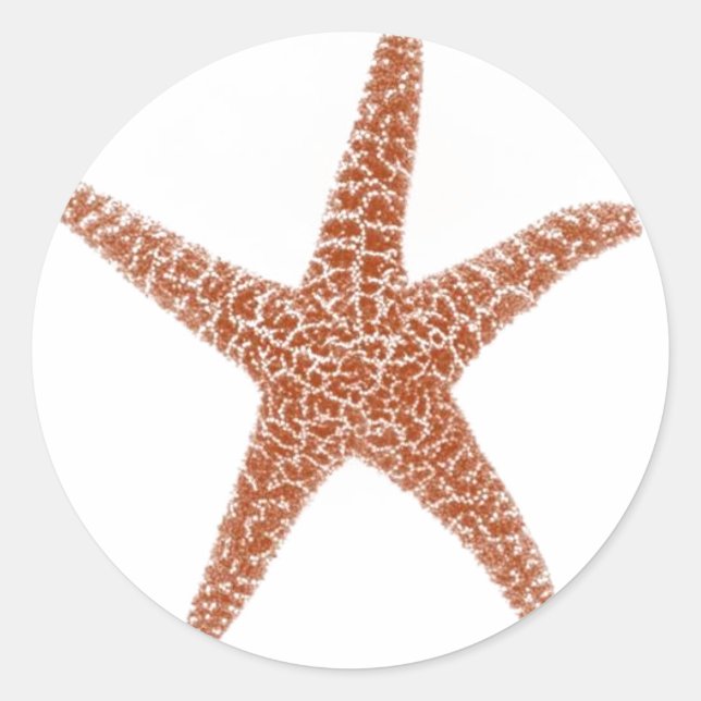 Adesivo Redondo Starfish Sticker (Frente)
