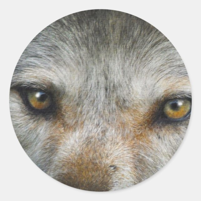 Adesivo Redondo Staring Cinza Wolf Eyes Wildlife Art (Frente)