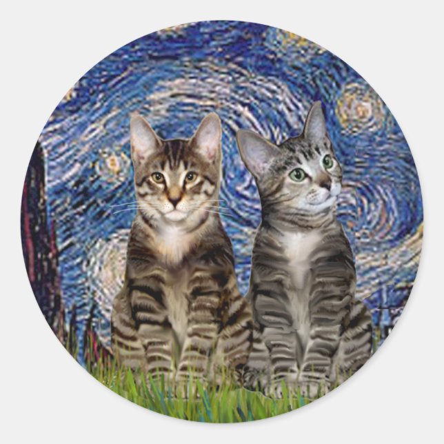 Adesivo Redondo Starry Night - Dois Gatos De Tigre Para Comprimido (Frente)