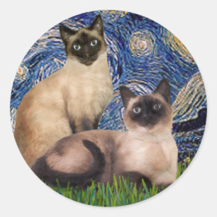 Adesivo Redondo Starry Night - Dois Gatos Siameses (Choc Pt)
