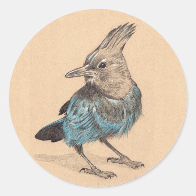 Adesivo Redondo Stellar's Jay (Frente)