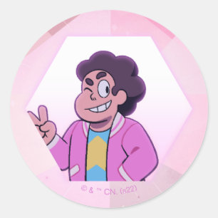 Adesivo Redondo Steven Universe   Retrato de diamante rosa