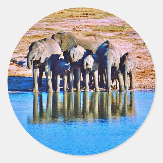 Adesivo Redondo Sticker (Frente)