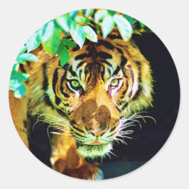 Adesivo Redondo Sticker